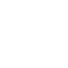 股东分红